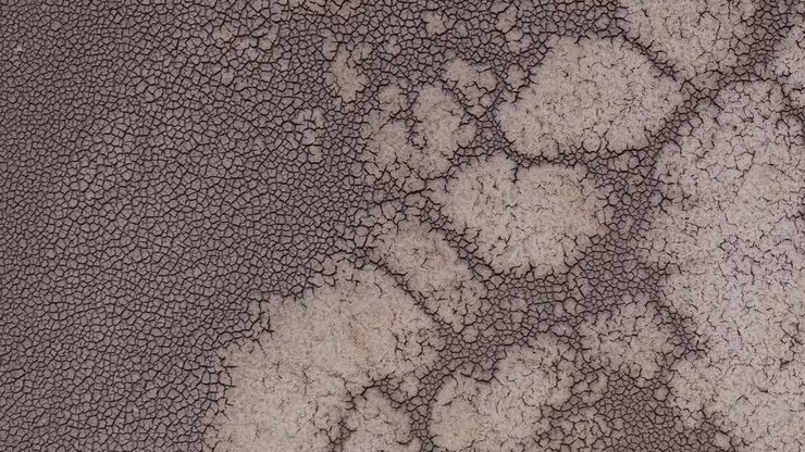 A top-down view of cracked dry soil forming intricate natural patterns across the ground. This abstract texture represents drought, climate change, arid environments, and environmental degradation.