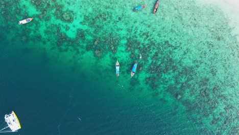 Thailändische-Longtail-Tourboote-Im-Klaren,-Blauen-Riffwasser,-Drohnenansicht-Von-Oben