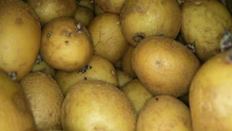 een goudbruine vers geplukte aardappelen in een doos - breed schot