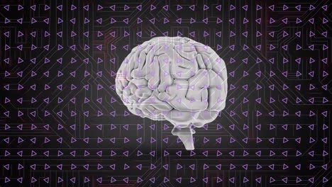 animation of data processing and human brain over dark background