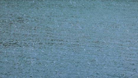 abstract background, rain drops on the water.