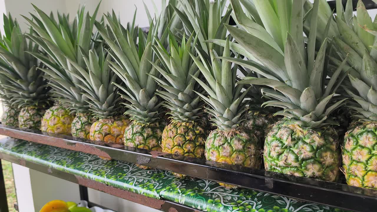 Ripe pineapples are neatly stacked and ready for market. These freshly harvested fruits are perfectly arranged for display. Their vibrant golden husks signal peak sweetness for buyers