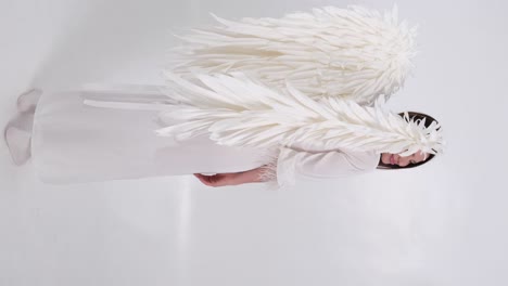 of a young girl with white wings on a white background of a young girl with white wings on a white background the image of a holy angel