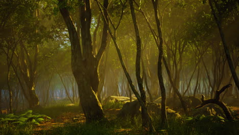 profunda jungla tropical en la oscuridad