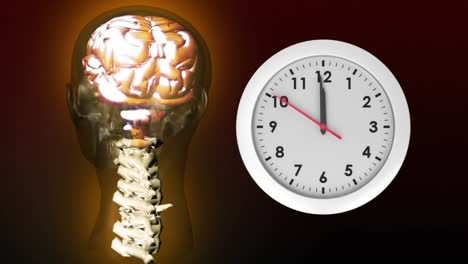 Anatomie-Von-Kopf-Und-Uhr