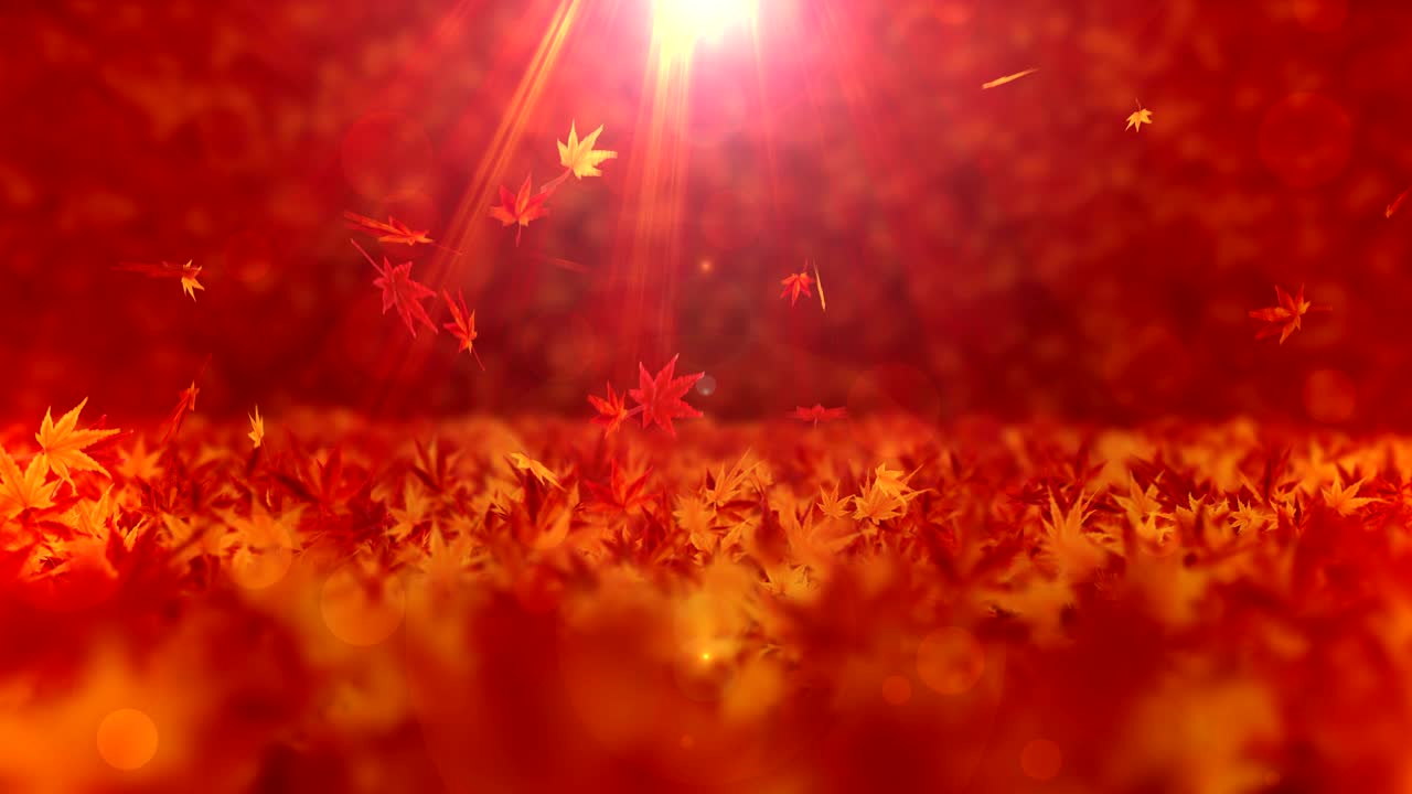 가을 잎의 스핀, 메이플, cg 애니메이션, 루프