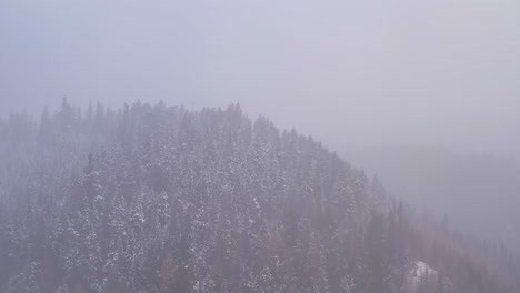 winter storm in the oregon highlands. blizzard covering the mountains and dense pine forecast. overcast sky near mount hood, usa