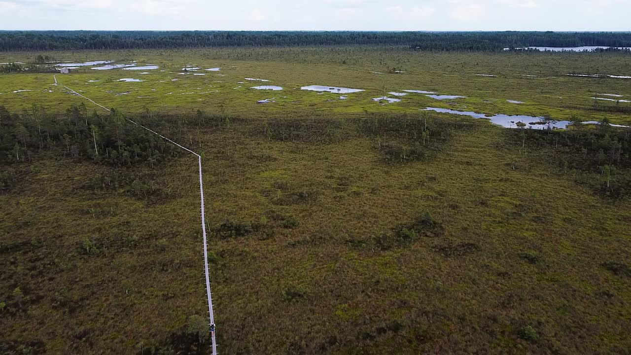 clip de dron aéreo de nigula bog en estonia