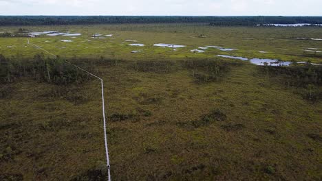 clip de dron aéreo de nigula bog en estonia