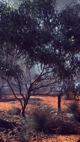 beautiful landscape with green trees and red earth during early morning light