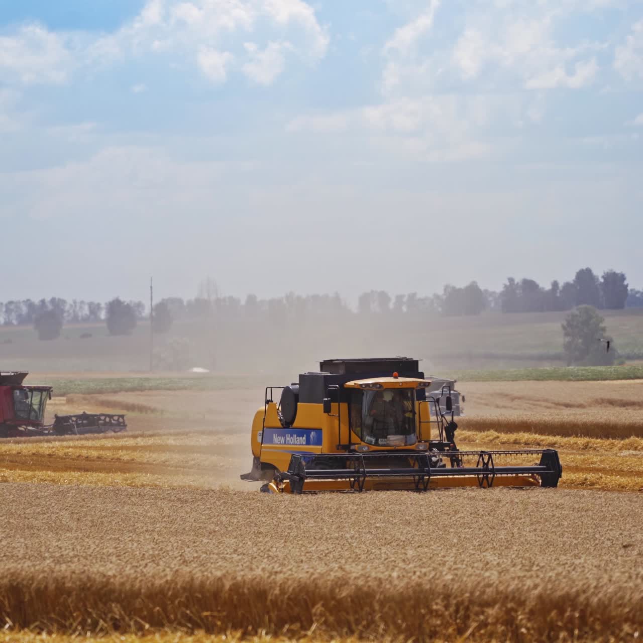 Harvesting of wheat field