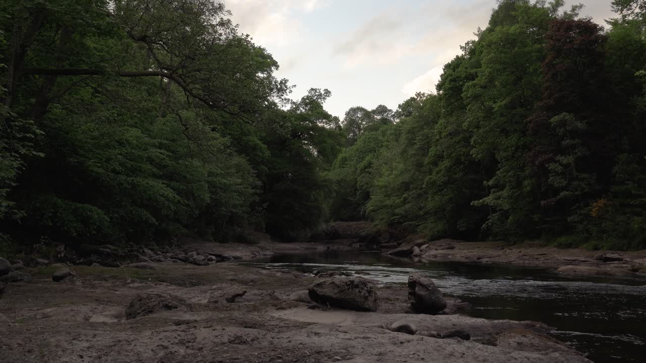 río suave que corre a través de rocas y árboles a la luz de la tarde