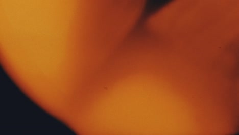 variation of lens flares and effect, multiple videos with variety of effects in the gallery