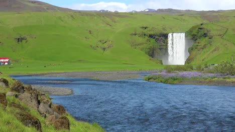 la hermosa cascada sk_____‚gafoss en islandia cae sobre un acantilado espectacular