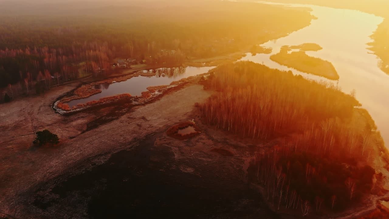 Golden misty light bathes flying swans above riverbank trees and marshland