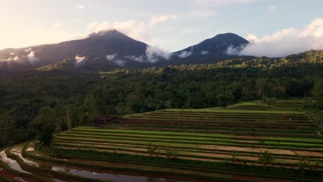 Impresionante-Paisaje-Volcánico-De-Las-Terrazas-De-Arroz-Jatiluwih-Durante-La-Puesta-De-Sol-En-El-Oeste-De-Bali,-Indonesia