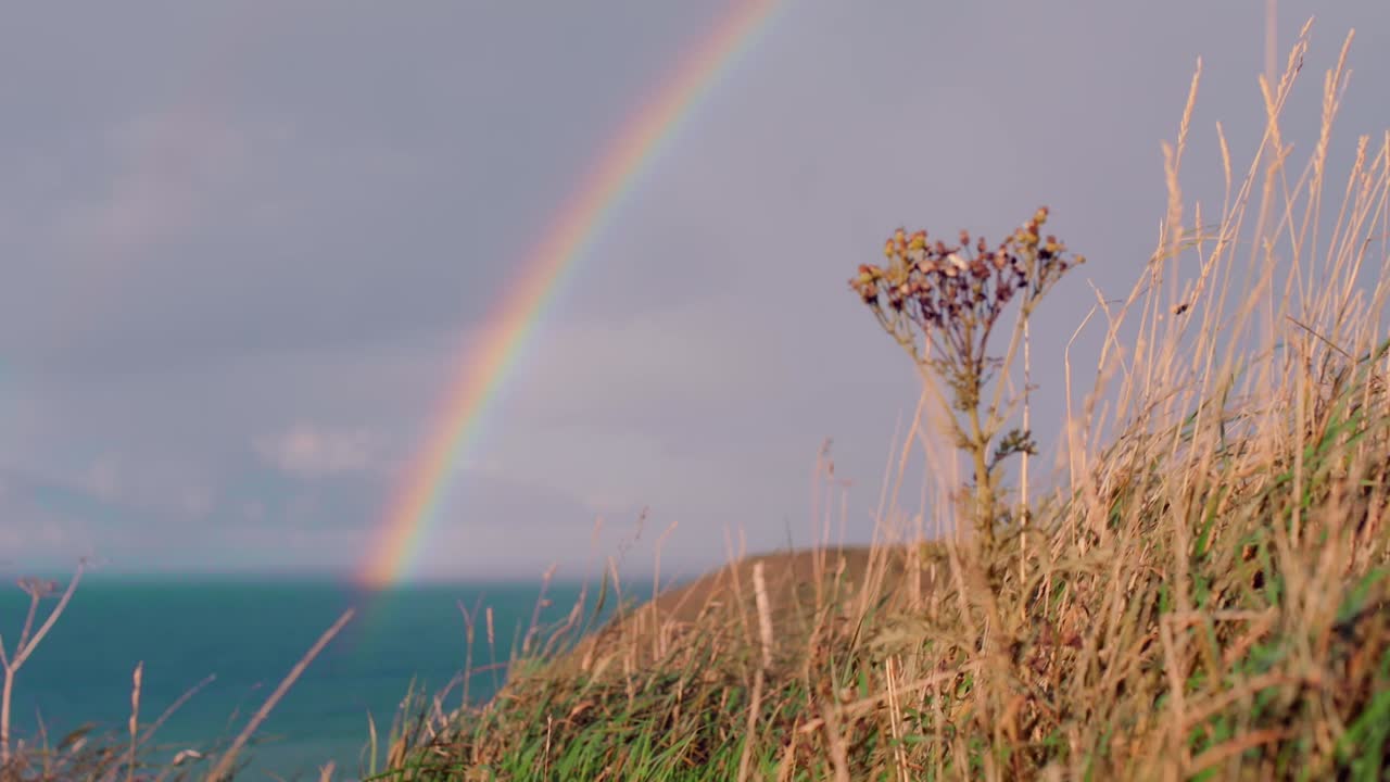 arco iris de cielo despejado sobre el horizonte del océano