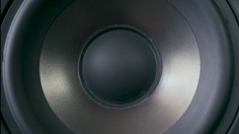 speaker cone in out pumping from bass sound