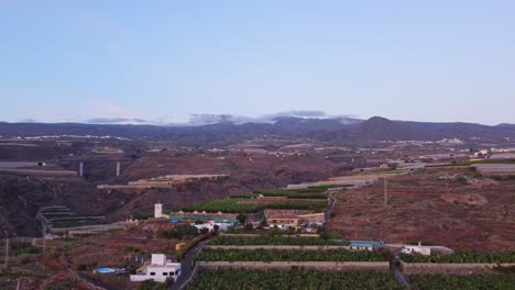 Plantación-De-Plátanos-En-La-Isla-De-Tenerife,-Islas-Canarias,-Vista-Aérea-De-Drones