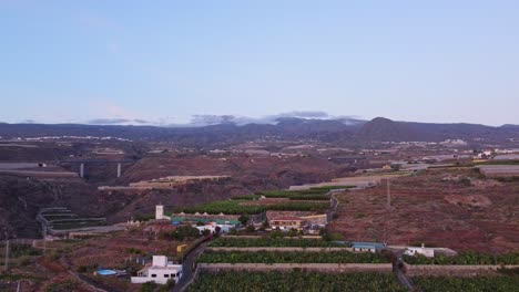 plantación de plátanos en la isla de tenerife, islas canarias, vista aérea desde un avión no tripulado