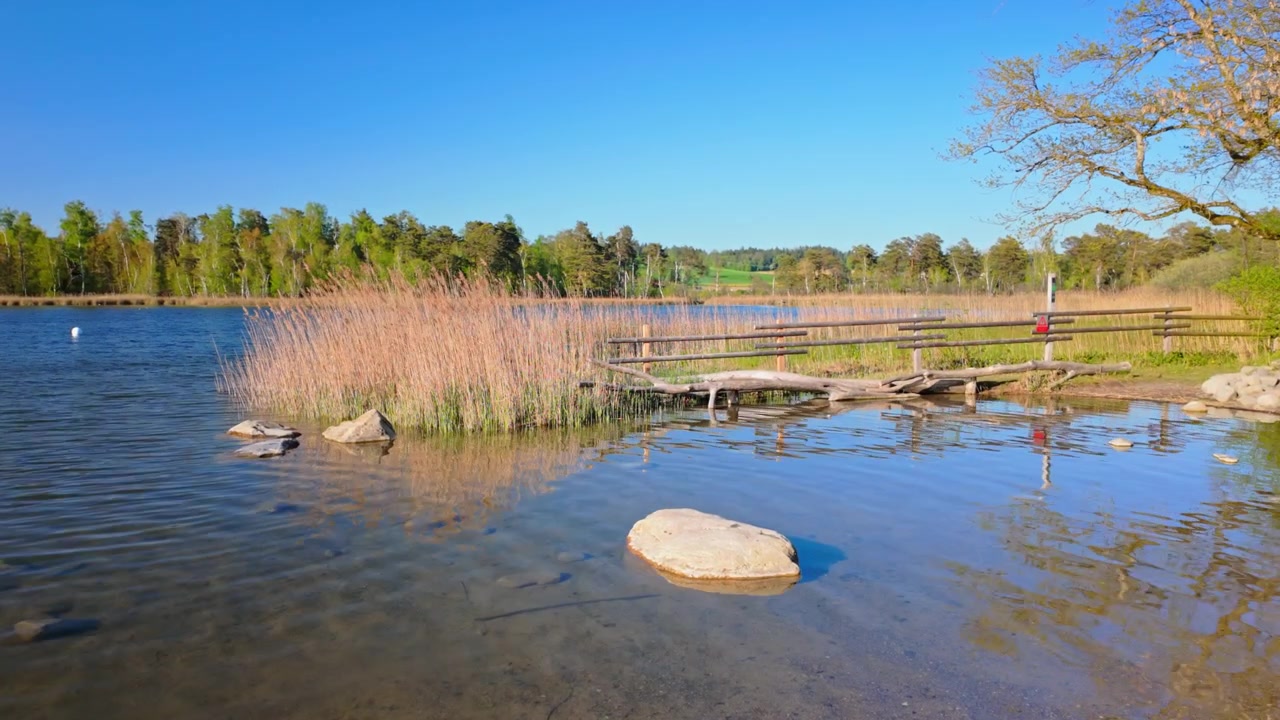 Rustige oever van de Katzensee in Regensdorf met helder ondiep water, riet, een houten aanlegsteiger en lentebomen onder een blauwe lucht, vredig landelijk landschap met tekstruimte. Stabiele opname