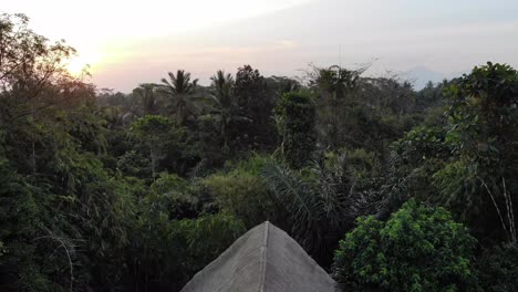 drone shot of a treehouse during sunset in bali, indonesia
