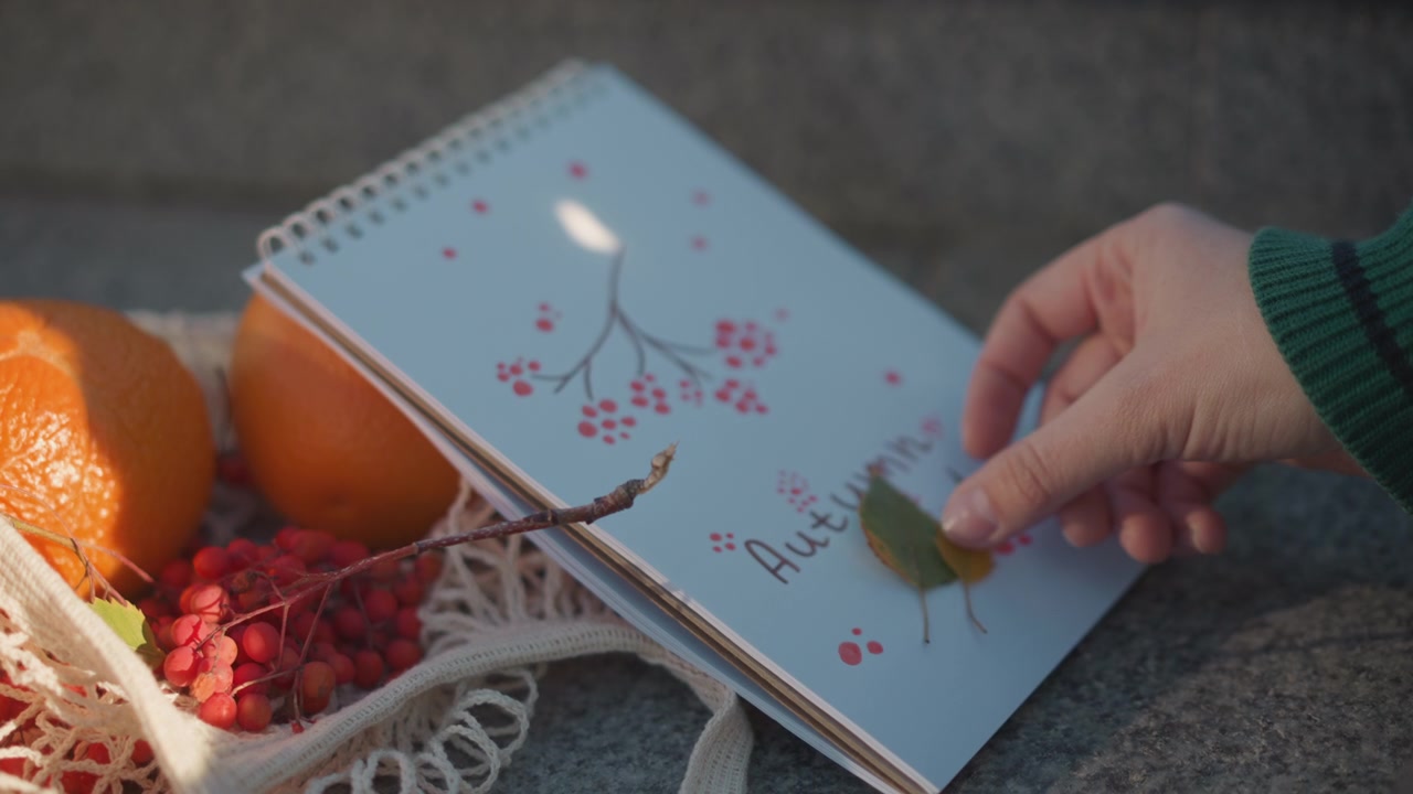 Mão Colocando Folhas de Outono em um Caderno Decorativo