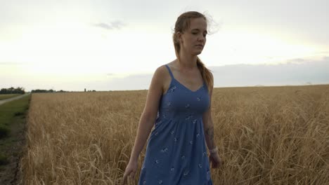 a young woman wearing a blue dress walking in a wheat field in sunlight on summer afternoon in a golden wheat field.