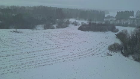 Luftaufnahme-Eines-Winterschneesturms-Im-Schneesturm-Im-Naturwald,-Kalte-Jahreszeit,-Gefrorenes-Feld