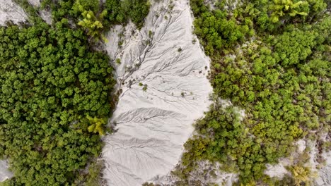 Aerial-straight-down-shot-of-moon-landscape-with-green-plants-and-trees-in-Taiwan,-Asia,-Tianliao-Moon-World,-田寮月世??