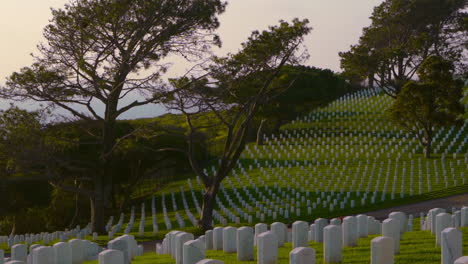 thousands of grave markers at the rosecrans military cemetery in san diego, california