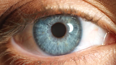 Blaues-Auge,-Blinzeln-Und-Iris-Im-Sehvermögen