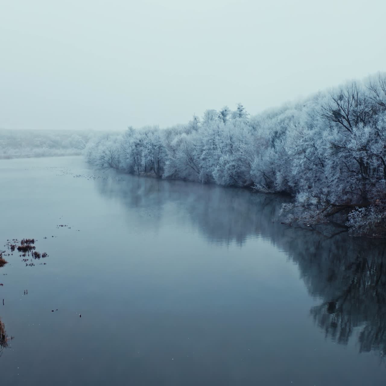 Beautiful winter landscape of nature. Drone view over the calm river in winter season. White snowy trees of the forest near the water.