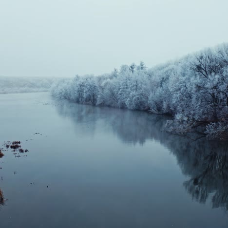 beautiful winter landscape of nature. drone view over the calm river in winter season. white snowy trees of the forest near the water.