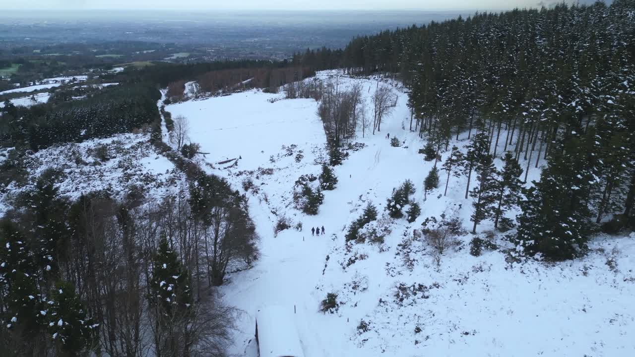 aerial dolly view of a group of friends walking with a dog in a snow-mountain surrounded by pine trees during winter time in Ticknock Forrest - Dublin Mountains, Ireland