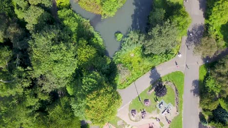 Von-Oben-Nach-Unten-über-Den-Sommerpark