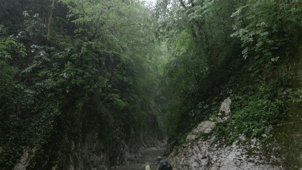 sendero de senderismo en el bosque lluvioso