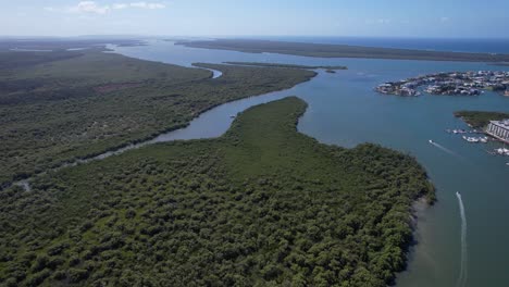 la exuberante isla verde de coomera cerca de las islas soberanas en gold coast, queensland, australia