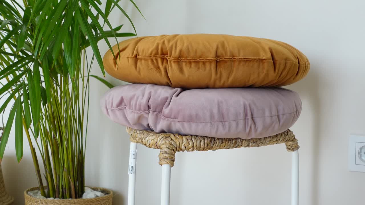 Indoor home decor with plant and pillows