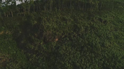 kodaikanal es un destino de verano favorito de los indios ubicados en el sur de la india