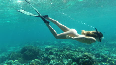 woman snorkeling in tropical coral reef