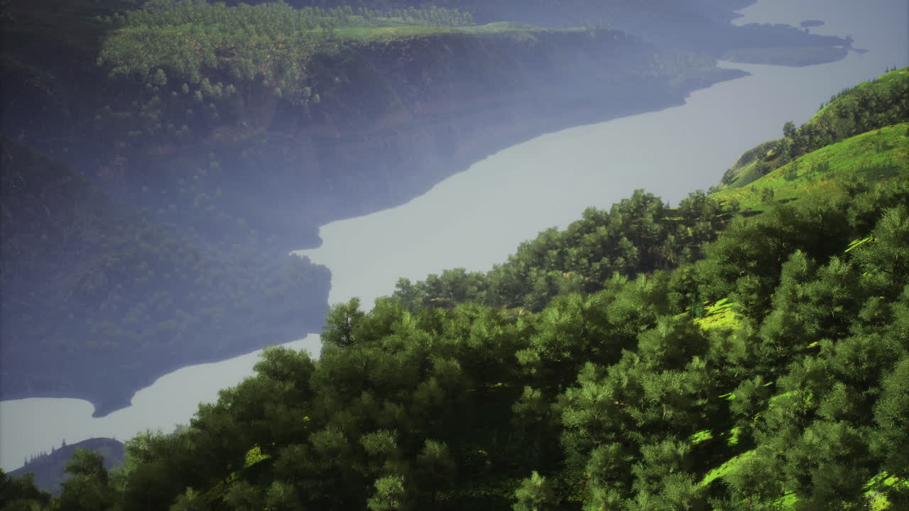 Lush greenery along a serene river valley at dawn