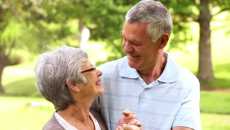 una pareja de ancianos afectuosos en el parque.