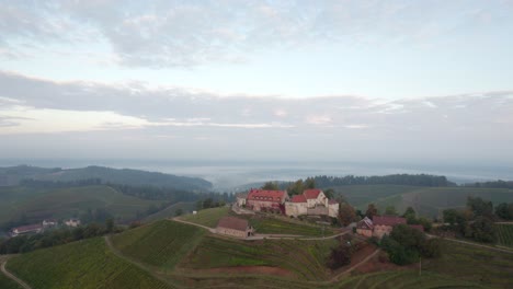 Aerial-approach-of-a-castle-on-a-hill-surrounded-by-vineyards