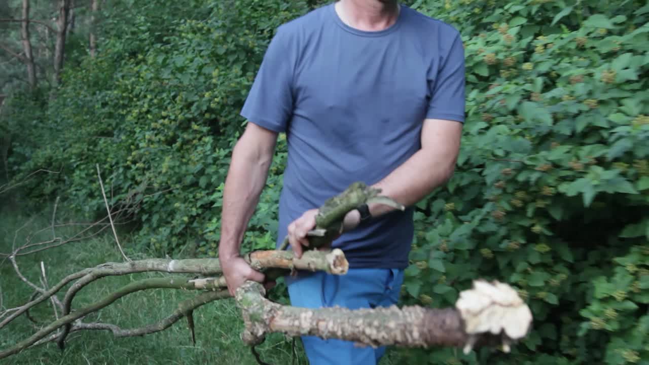 А man carries a large branch to the camp