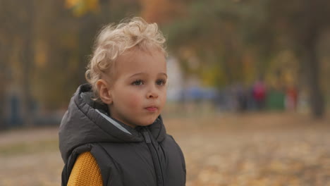 portrait of cute little boy in autumn park child is walking at good weather light curly hair and charming face of toddler