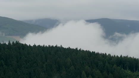 timelapse of the thick vapor created by the mountain forest in the natural process of water circulation