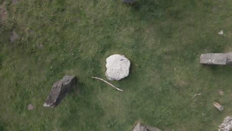 small stone hedge in one english village