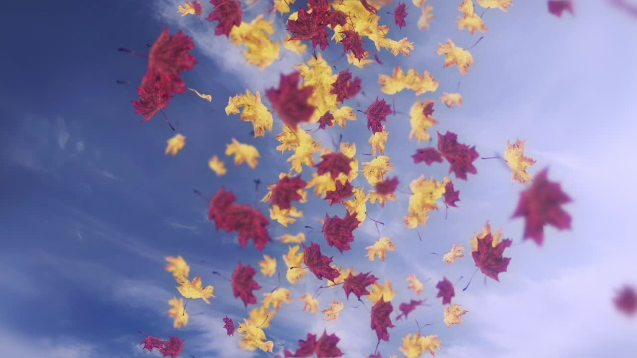 떨어지는 잎의 애니메이션 루프 가을