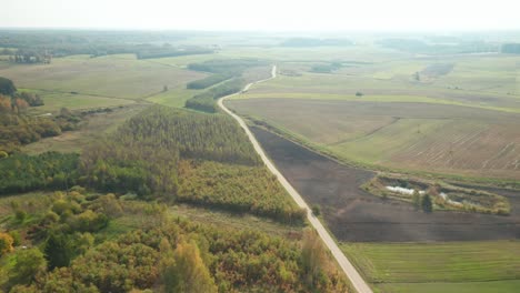 Antenne:-Einsame-Straße,-Die-Zum-Horizont-Führt,-Mit-Sonne,-Die-Auf-Wald-Und-Ebenen-Scheint